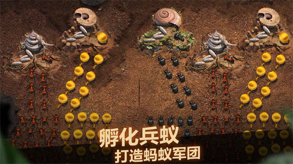 小小蚁国v1.57.03