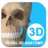 维萨里3D解剖安卓版v5.6.0