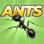荒野蚂蚁模拟安卓版
