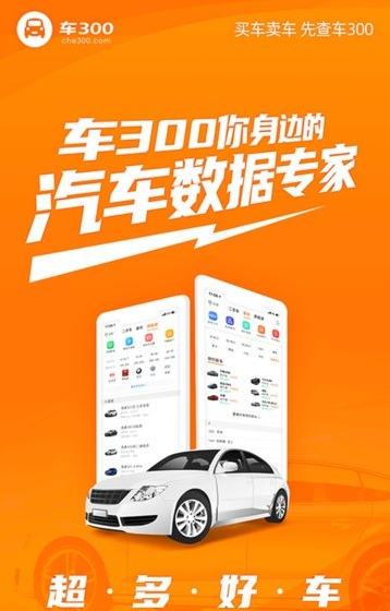 车300新车二手车最新版