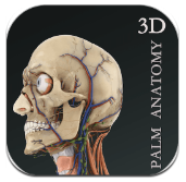 掌上3D解剖手机版