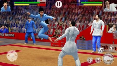 Karate Fighter(功夫大师)游戏