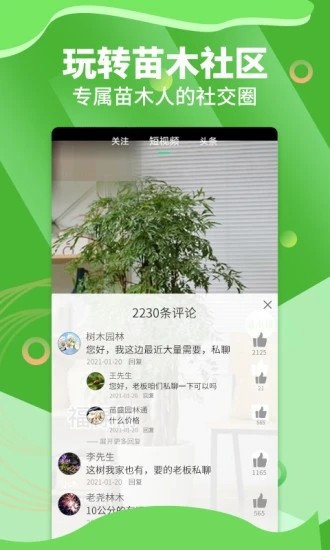 苗木通安卓版2