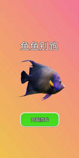 鱼鱼别跑1