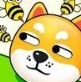 救救狗狗大作战