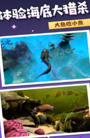 海洋霸权争夺战2
