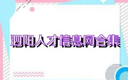 泗阳人才信息网合集