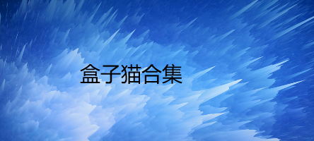盒子猫合集