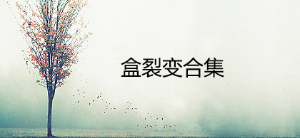 盒裂变合集