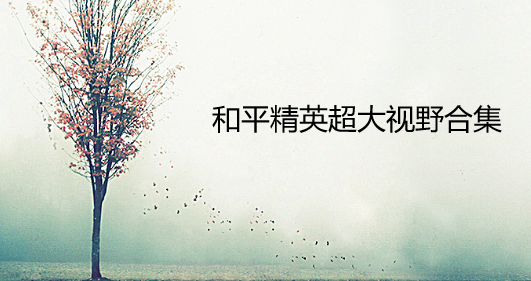 和平精英超大视野合集