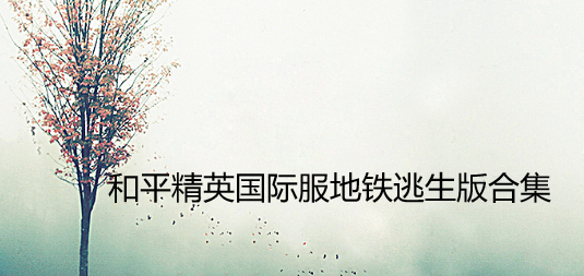 和平精英国际服地铁逃生版合集