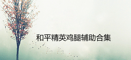 和平精英鸡腿辅助合集