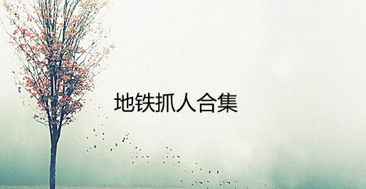 地铁抓人合集