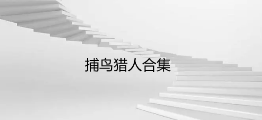 捕鸟猎人合集