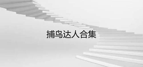 捕鸟达人合集