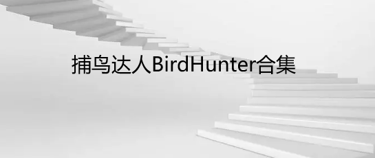 捕鸟达人BirdHunter合集