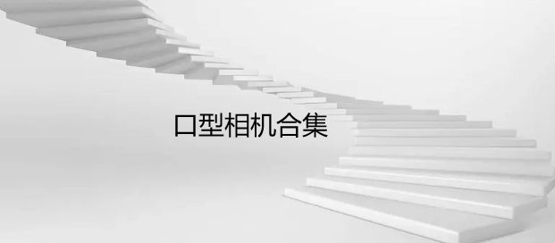 口型相机合集