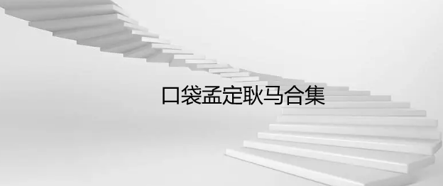 口袋孟定耿马合集