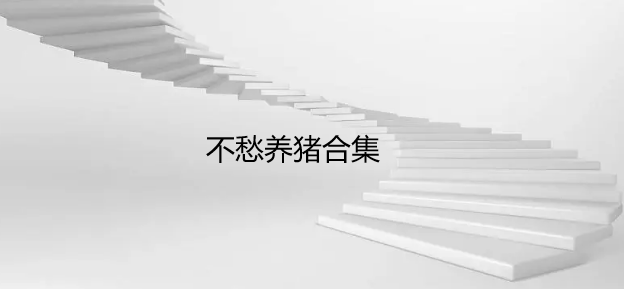 不愁养猪合集