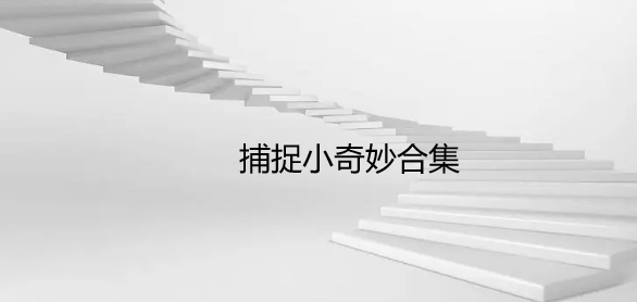 捕捉小奇妙合集