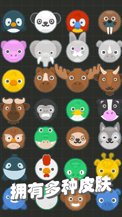 我不是飞剑 v1.16.12
