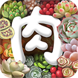 多肉植物app2024