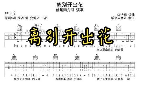 离别开出花歌曲完整版歌词介绍