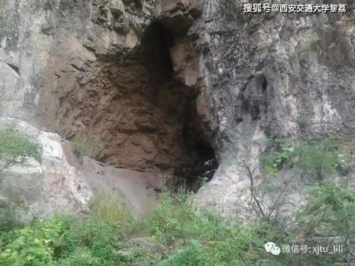 揭秘光遇雨林深处：神秘山洞隐藏入口大公开，你找到了吗？