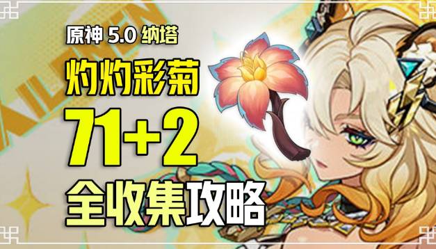 【攻略】原神5.1：解锁高效彩菊采集，独家快速路线揭秘！