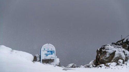 澳大利亚哪些地方会下雪？澳洲冬日仙境