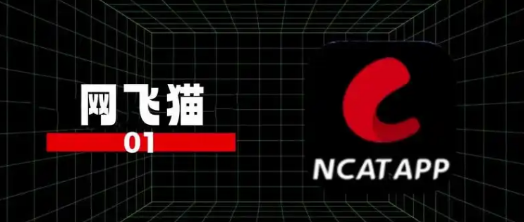 网飞猫官网合集