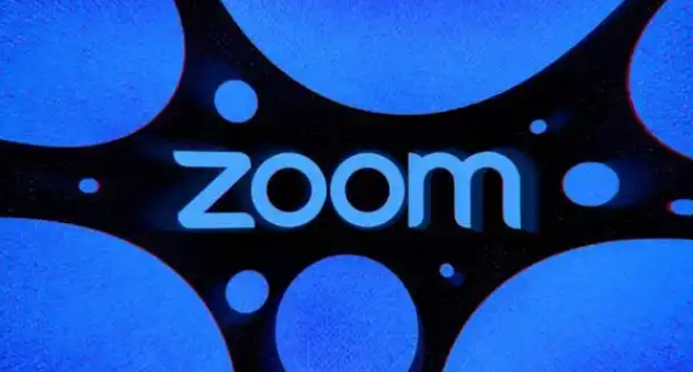 zoom下载合集