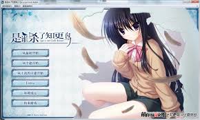 职更鸟合集