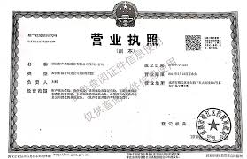 国任保单服务：打造您的专属保障魅力之旅