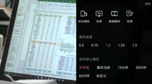 hernameplz背后的网络热梗