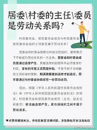 居委会选举流程解析
