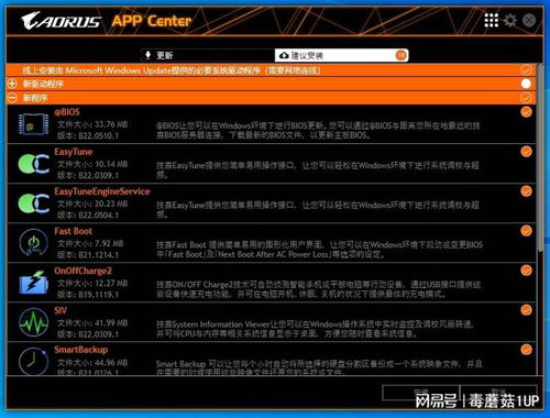 解锁魅力：深入探索张扬个性的独特韵味
