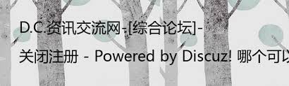 DC资讯交流网为何无法访问？原因