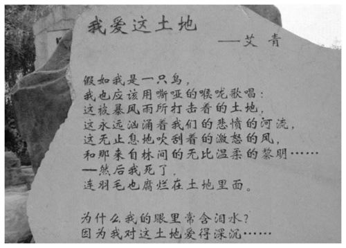 上海肥猪哥的最终结果如何