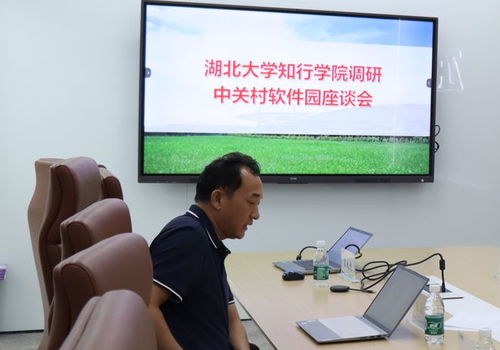 高洁高芳大团结：温馨感人圆满大结局