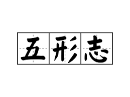 5yt到底是什么意思？