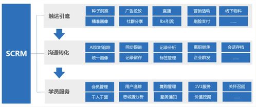 北海资本运作：其背后的国家角色与发展驱动因素