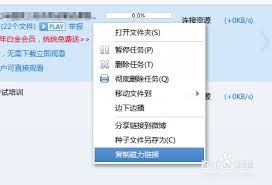 冰鱼BT下载种子链接问题紧急求解