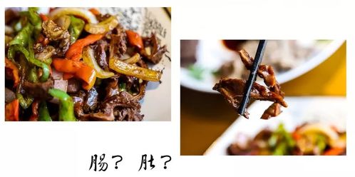 天上龙肉，地下驴肉之谜：古代美食传奇