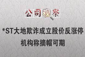 何学葵股市风波