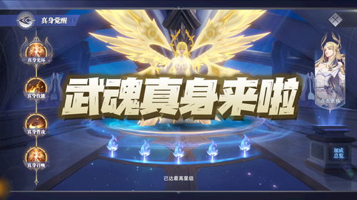 斗罗大陆魂师等级大从魂士到封号斗罗的晋升之路