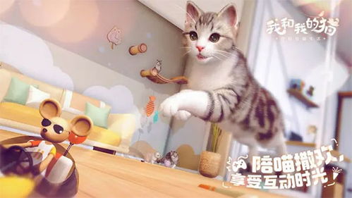 2024热门可爱猫咪游戏下载合集