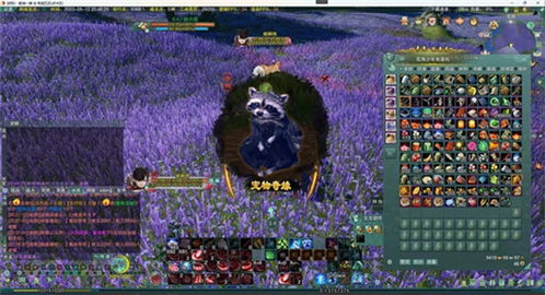 剑网3秘宝图奇遇全攻略