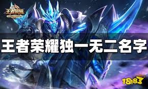 独一无二的王者称号