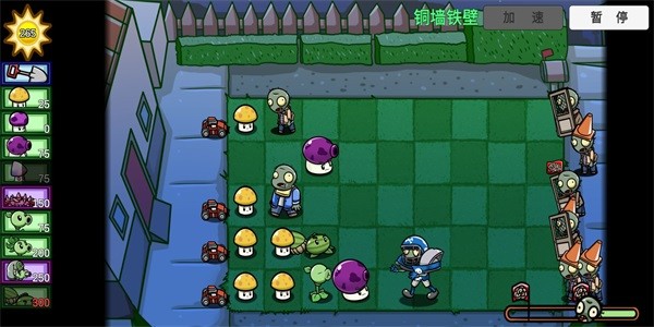 植物大战僵尸可爱版官方版3